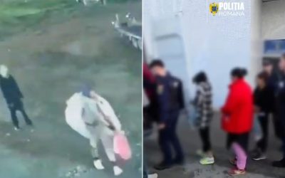 Bujori de 20.000 de euro, furați dintr-o seră din București. Hoții, prinși în flagrant