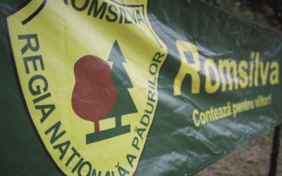 Sindicaliștii Romsilva atacă în instanță reorganizarea regiei pădurilor