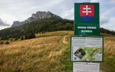 Ziua Pământului: Autoritățile GERMANE reamintesc importanța protejării mediului