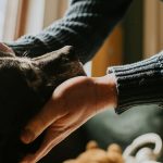 a-cheltuit-40-000-de-dolari-pentru-a-si-ingheta-cainele-bolnav-de-cancer-si-a-l-reinvia-ulterior-105.webp - NewsFactor