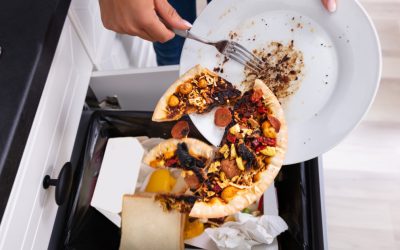 România irosește anual tone de alimente: Cum influențează risipa mediul și economia