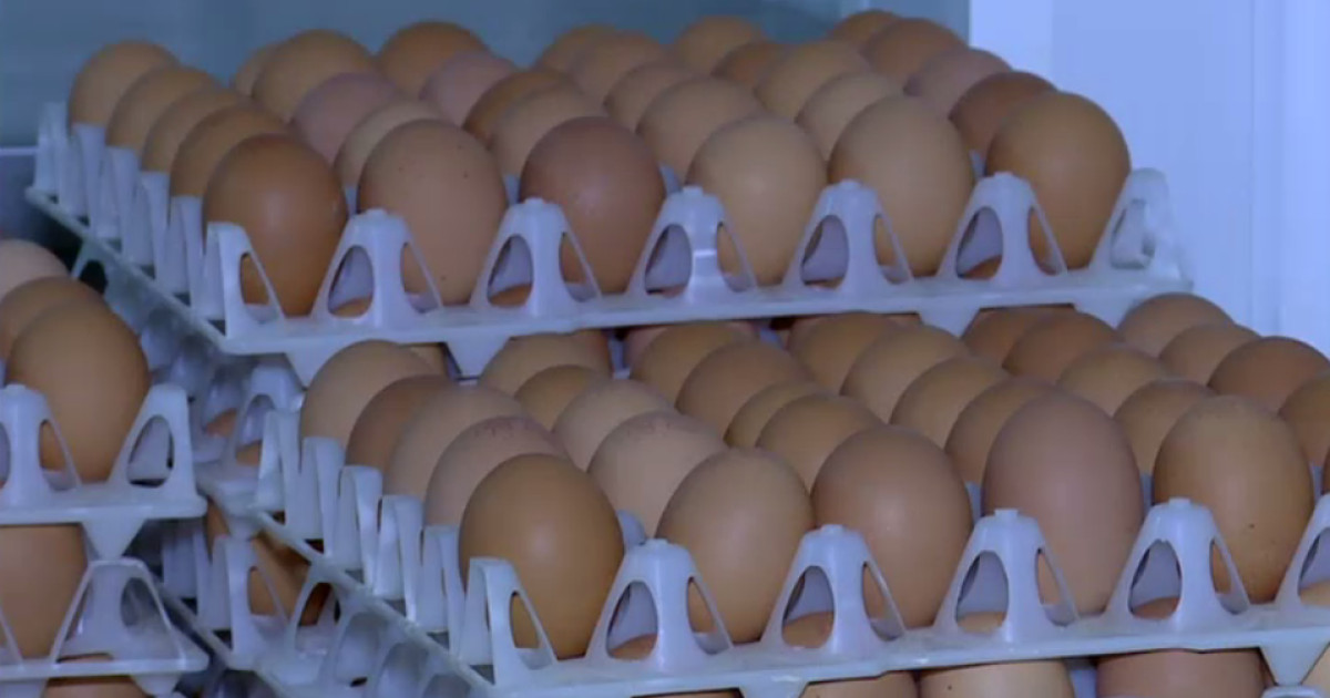 Alertă de Sărbători: 1,5 milioane de ouă cu Salmonella, RETRASE de la vânzare