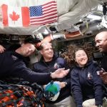 aGFzaD02Y2Q0NWQ2NjFiMWNlNTJhZWViNGU4MzZmMDMzYWQ4NQ.thumb_.jpg - NewsFactor