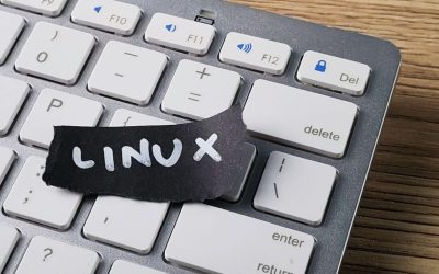 Franța abandonează Windows: Trece la Linux pentru suveranitate digitală
