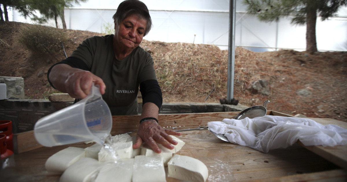 Halloumi în pericol: Epidemie mortală lovește Cipru, soluția la turci