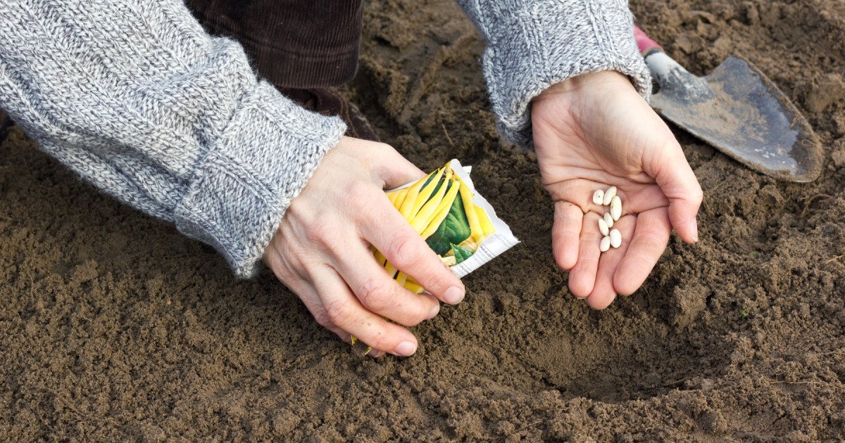 România, o țară unică: Poate produce mâncare integral, din resurse proprii