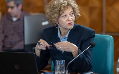 Oana Gheorghiu, REPLICĂ DURĂ în scandalul TAROM: „Compania va dispărea”