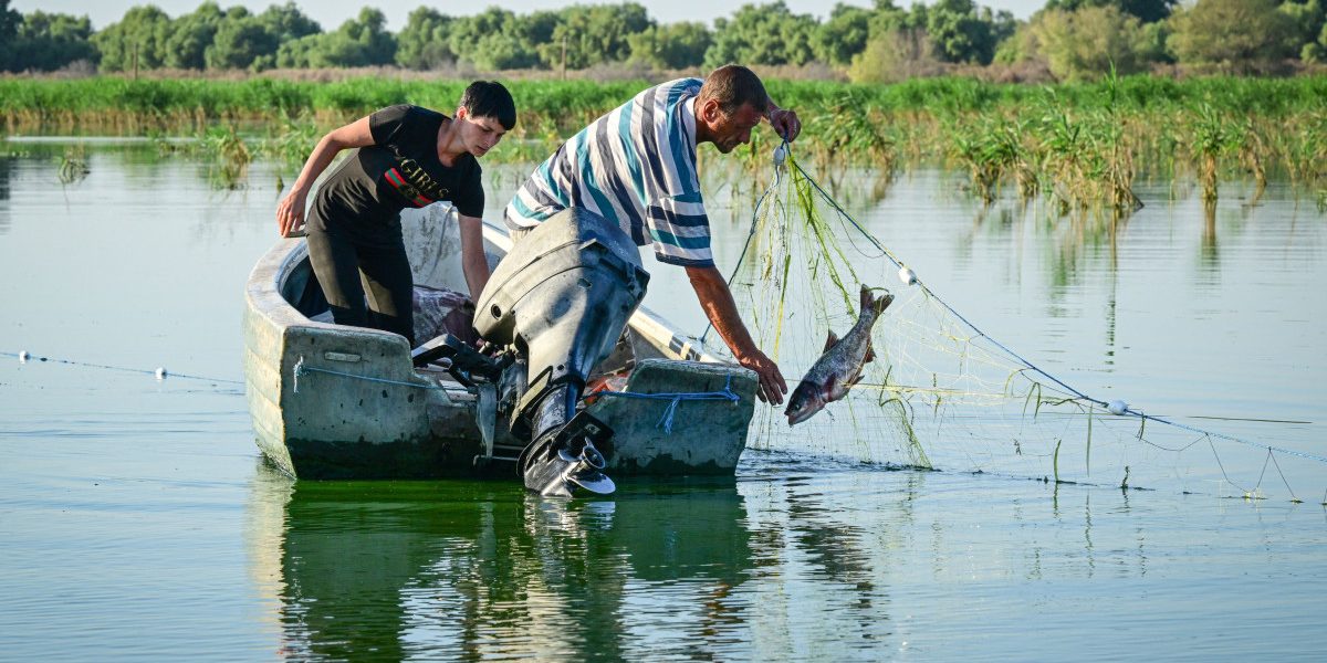 aGFzaD1mNWIxYWM2OTIwNTQ0ZGQ0ZWUyZGYzOTE1YmJkOGZmOQ.thumb_.jpg - NewsFactor