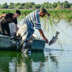 aGFzaD1mNWIxYWM2OTIwNTQ0ZGQ0ZWUyZGYzOTE1YmJkOGZmOQ.thumb_.jpg - NewsFactor