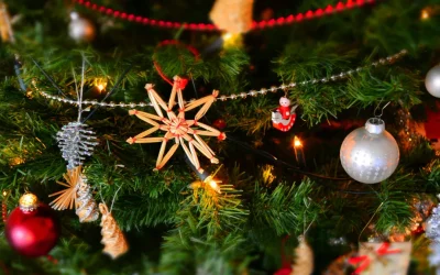 Ungaria, referendum pentru zi liberă de Crăciun pe 24 decembrie