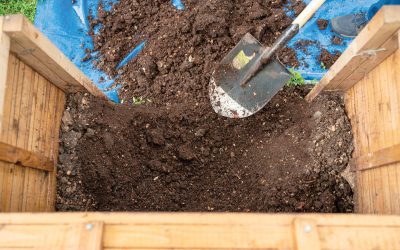 Deșeuri, resursă: Academia de Transformare Verde in România