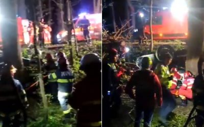 Accident TERIBIL de Paște: Doi tineri și-au găsit sfârșitul în pădurea Snagov