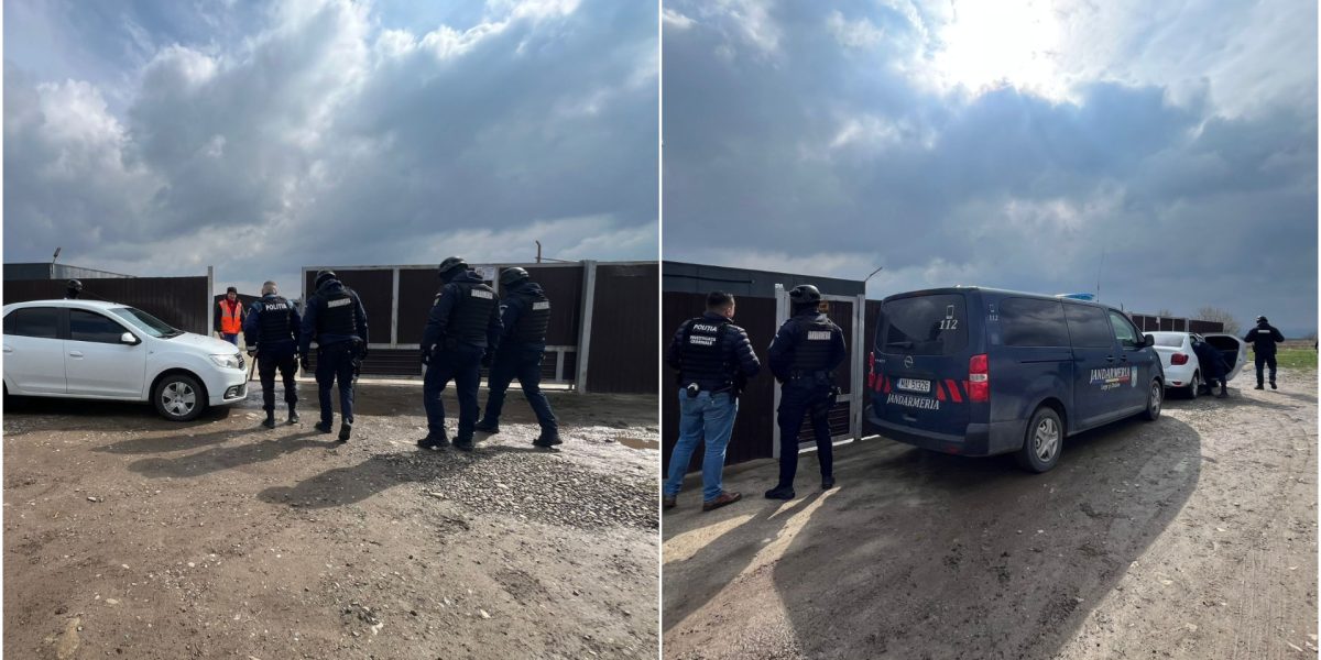 Anchete explozive: Câini eutanasiați ilegal