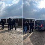 Anchete explozive: Câini eutanasiați ilegal