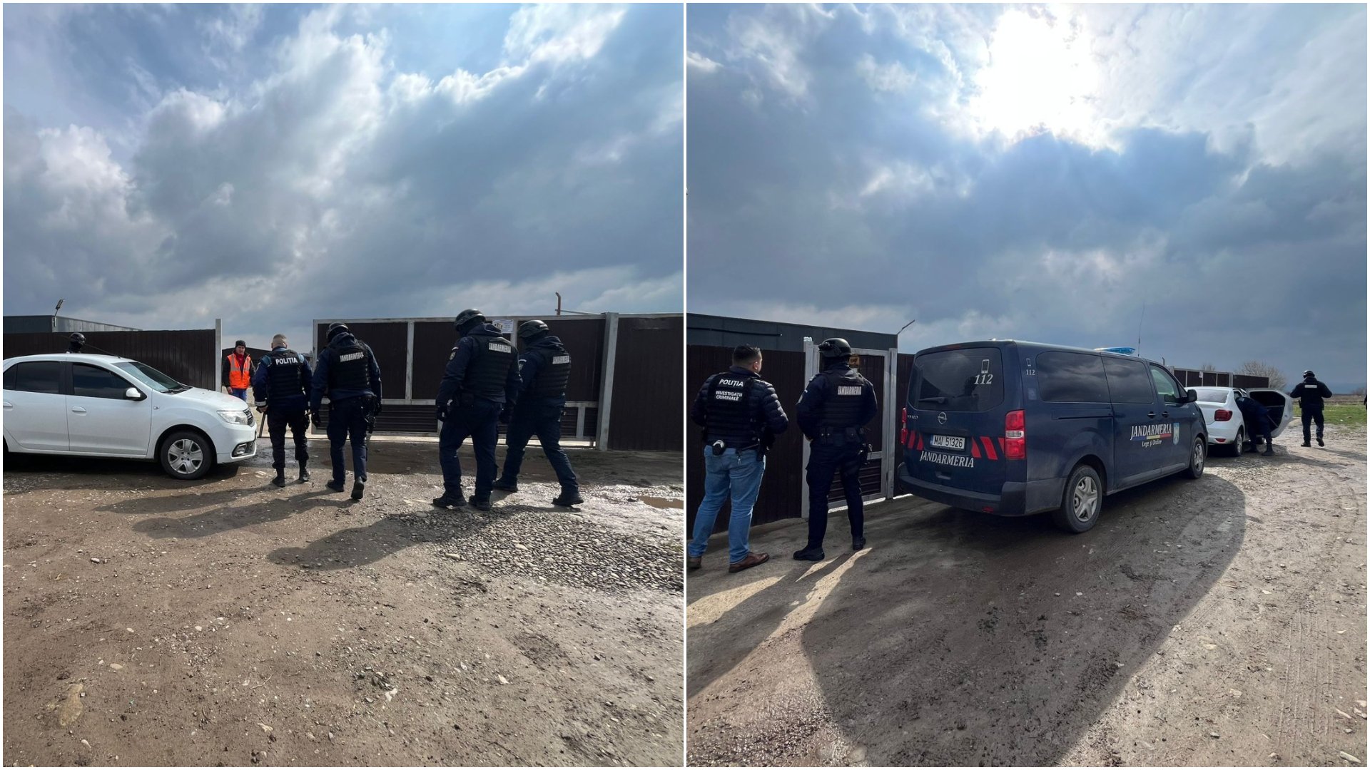 Anchete explozive: Câini eutanasiați ilegal
