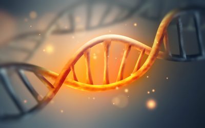 Unde s-ar ascunde secretele codului genetic, misterul vieții
