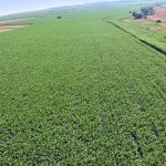 agricultura-2.jpg - NewsFactor