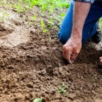 agricultura-fermier-teren-agricol-recolta-foto-pexels-binyamin-mellish-e1669273801286.jpg - NewsFactor