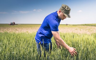 Criză uriașă în Europa: Fermierii cer ajutor URGENT la Bruxelles