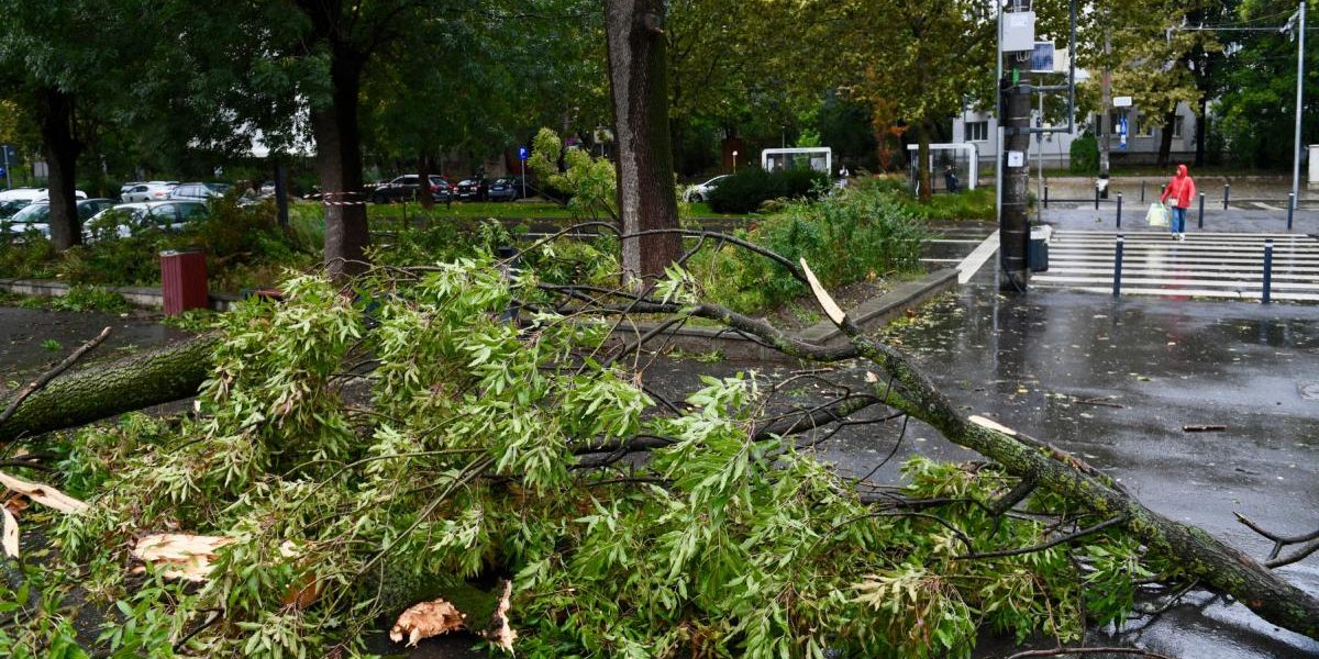 alerta-meteo-imediata-cod-portocaliu-de-vijelii-puternice-emisa-de-anm-vantul-va-bate-si-cu-90-de-km.webp - NewsFactor