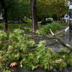 alerta-meteo-imediata-cod-portocaliu-de-vijelii-puternice-emisa-de-anm-vantul-va-bate-si-cu-90-de-km.webp - NewsFactor