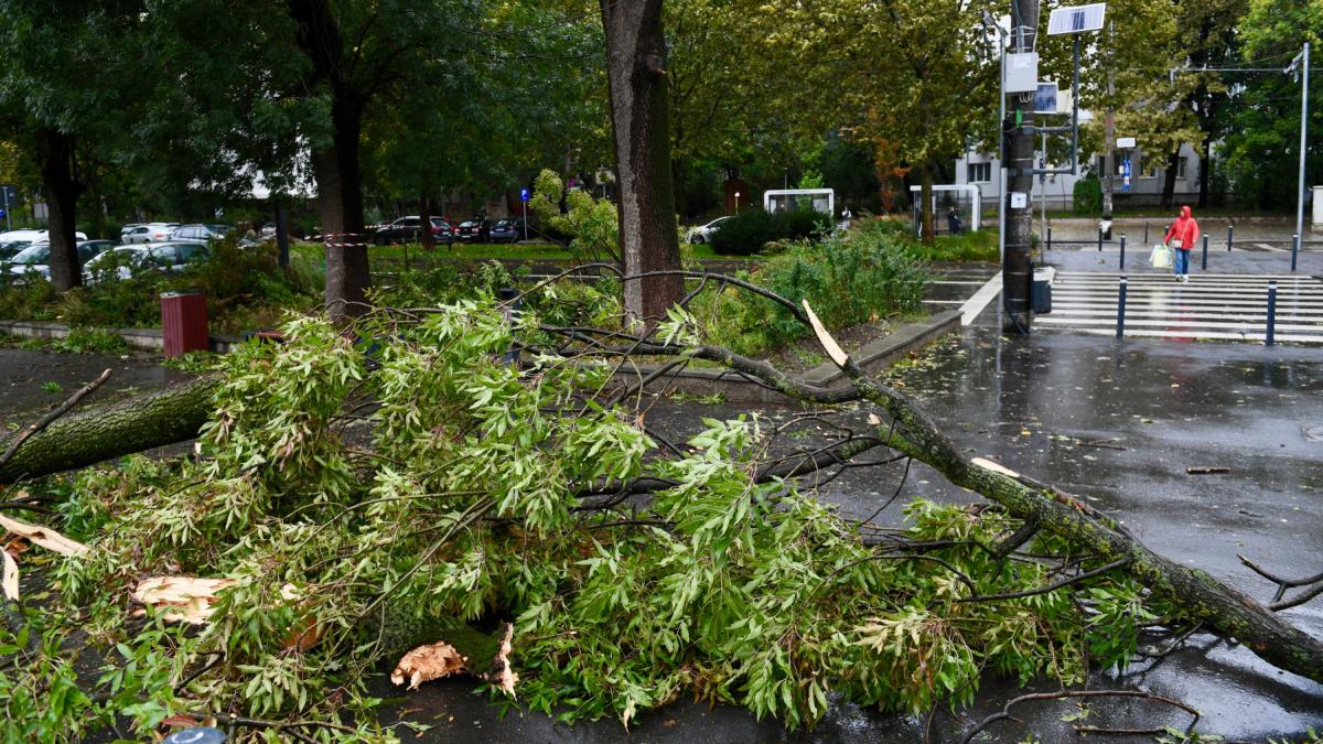 Alertă meteo: Cod portocaliu de vânt puternic, valabil în mai multe județe din țară Administrația Națională de Meteorologie (ANM) a emis o alertă meteo de tip nowcasting, cod portocaliu de vânt puternic, valabilă pentru mai multe localități din județul Botoșani