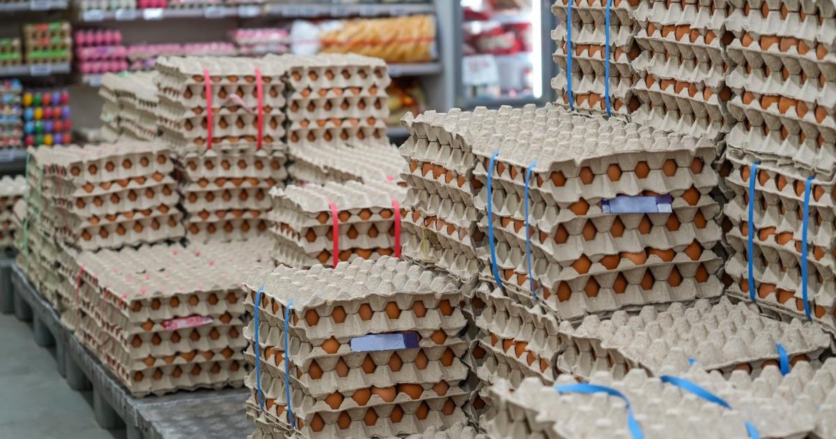 Ouă cu Salmonella la Vaslui: Alertă sanitară înainte de Paște, 1,5 milioane retrase