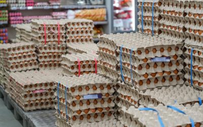 Ouă cu Salmonella la Vaslui: Alertă sanitară înainte de Paște, 1,5 milioane retrase