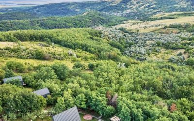 Arta Chalet: Povestea Retragerii de Lux din Regiunea Dealu Mare, România