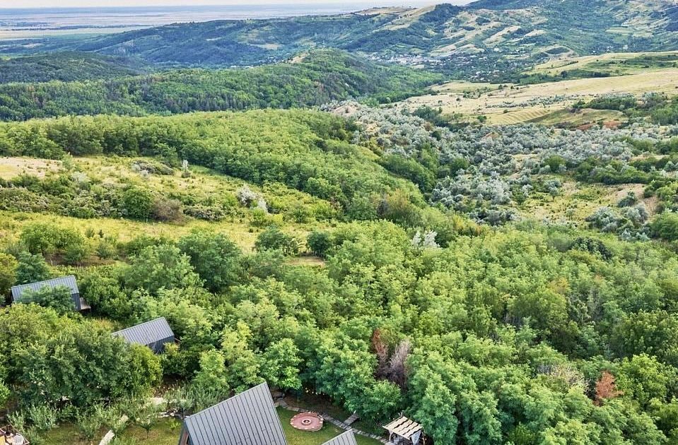 Arta Chalet: Povestea Retragerii de Lux din Regiunea Dealu Mare, România
