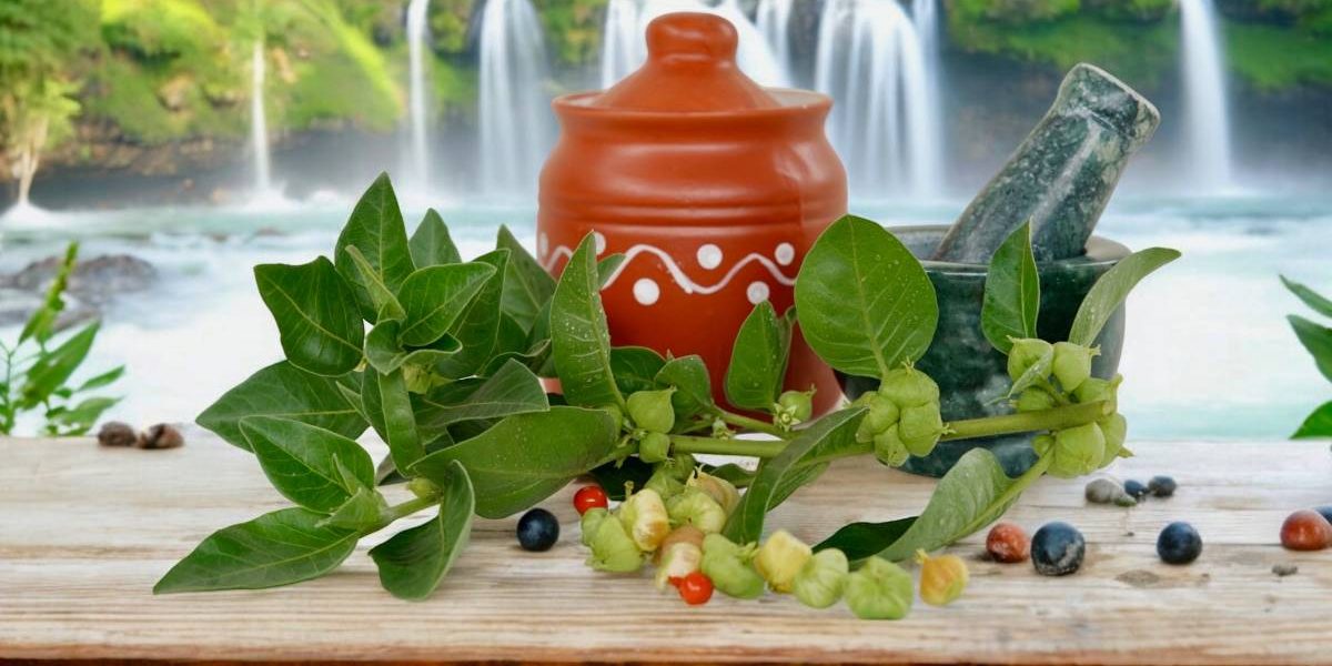 ashwagandha.jpg - NewsFactor