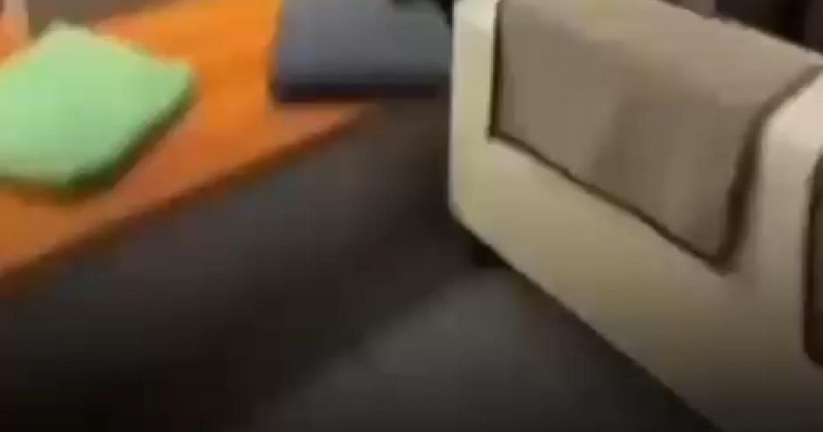 Ceartă aprinsă la AUR: Un membru l-a atacat pe Dan Tănasă după ședință