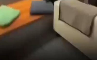 Ceartă aprinsă la AUR: Un membru l-a atacat pe Dan Tănasă după ședință