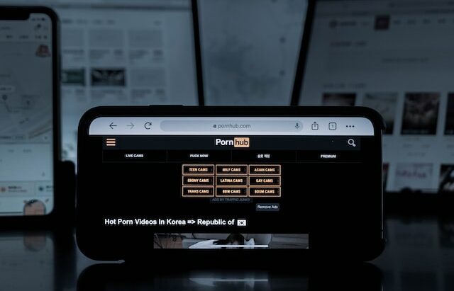 Marea Britanie: Pornografia cu rude vitrege, interzisă. Ce măsuri se iau