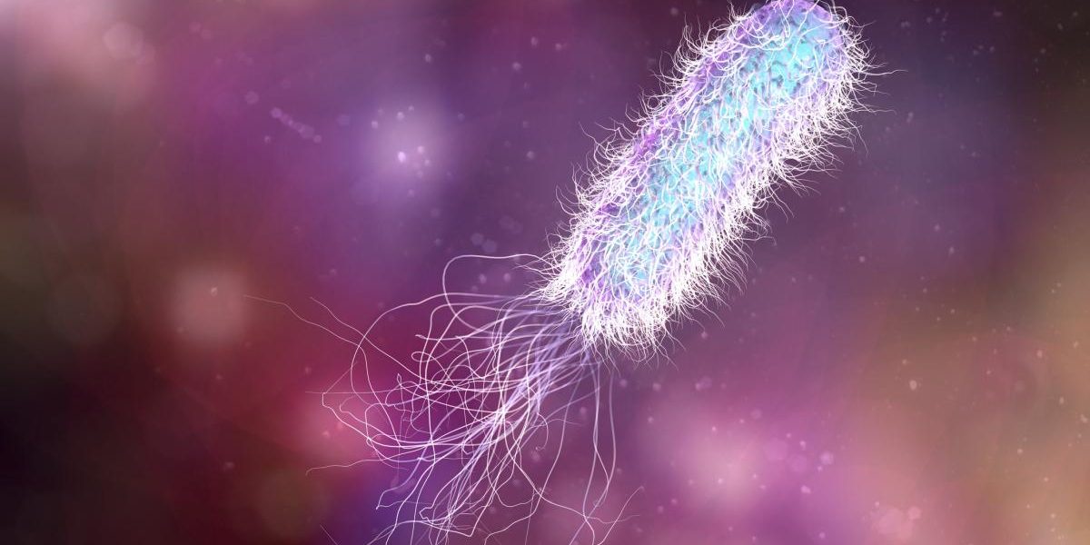 bacteria-pseudomonas-aeruginosa-a-fost-depistata-la-spitalul-de-pediatrie-ploiesti-ce-masuri-au-fost.webp - NewsFactor