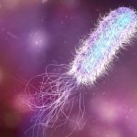 bacteria-pseudomonas-aeruginosa-a-fost-depistata-la-spitalul-de-pediatrie-ploiesti-ce-masuri-au-fost.webp - NewsFactor