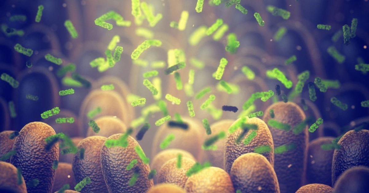 Bacterie ucigașă: Oamenii de știință spulberă tumorile din interior