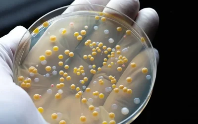 Dragostea și… Bacteriile: Cum împart cuplurile microbii!