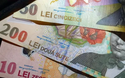 Statul stoarce românii peste 18 ani: Ce dobânzi oferă noua ediție Fidelis?