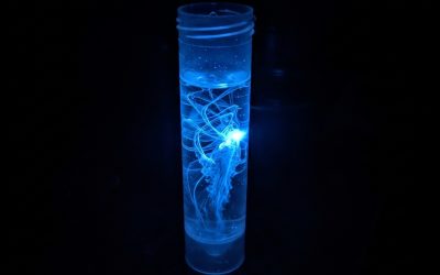 Cilindrul albastru ucigaș: Un jaf SF la final cu amenințare nucleară