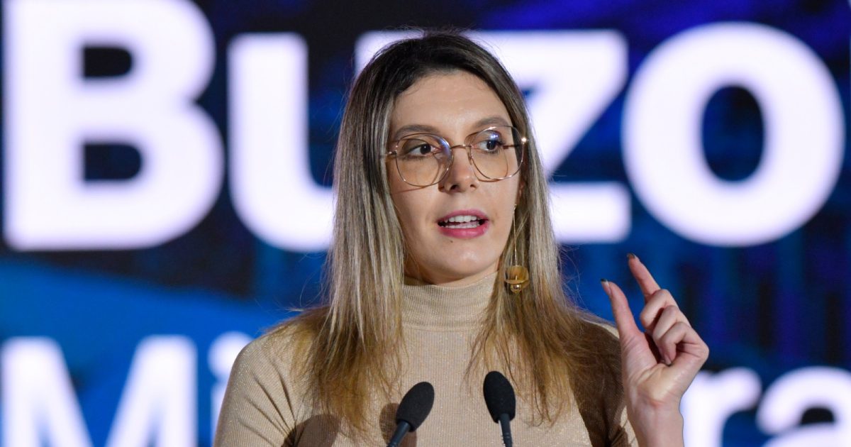 Ministerul Mediului, victorie în instanță pe tema drumului din Pădurea Băneasa