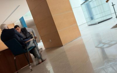 Simion, AZI: Ce planuri are Opoziția după întâlnirea cu Georgescu