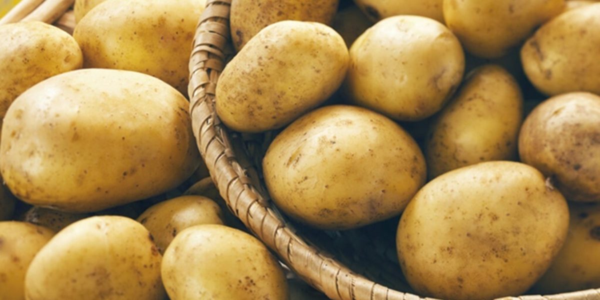 cartofi.jpg - NewsFactor