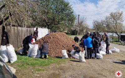 Cartofi pentru familiile vulnerabile din Vrancea: 250 de tone, înainte de sărbători
