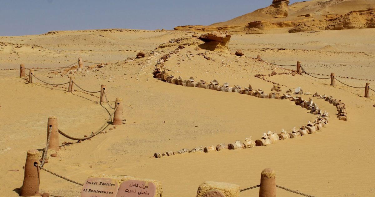 Cataclismul de acum 4200 de ani a ruinat Vechiul Regat Egiptean