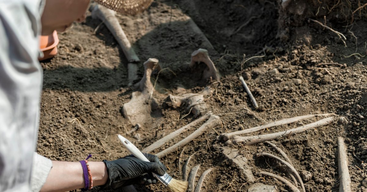 Peisaj antic: Descoperire senzațională a rămășițelor umane de acum 100.000 de ani