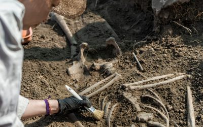 Peisaj antic: Descoperire senzațională a rămășițelor umane de acum 100.000 de ani