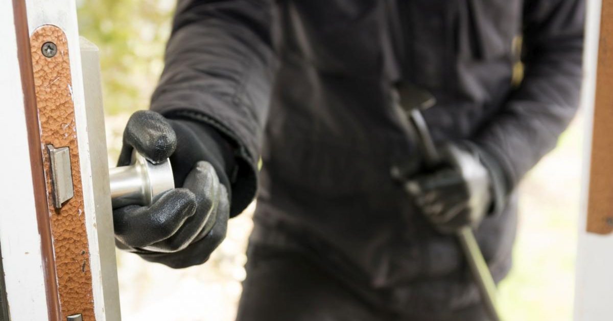 Șase furturi bizare: O frizură Donald Trump, printre cele mai ciudate