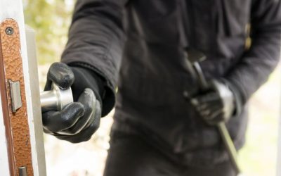 Șase furturi bizare: O frizură Donald Trump, printre cele mai ciudate