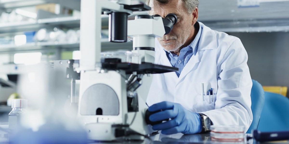 cercetatorii-rusi-dezvolta-compusi-pe-baza-de-extract-de-molid-considerati-eficienti-impotriva-coagu.webp - NewsFactor